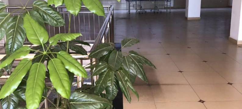 玉溪金丹酒店图片