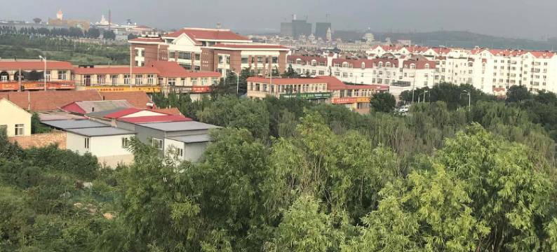 青岛依海轩宾馆图片