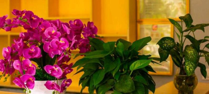 蘭舍蘭鄰民宿(北海银滩店)图片