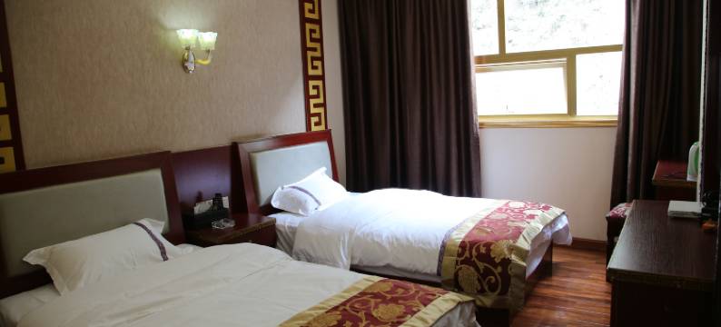 新龙雅砻江大酒店图片