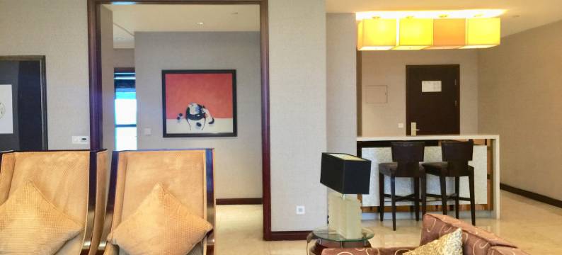 成都川投国际酒店(海滨城店)图片