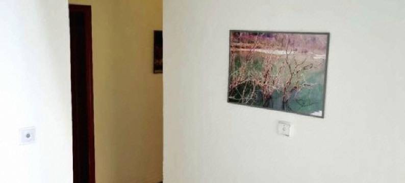 绵阳金安商务宾馆图片