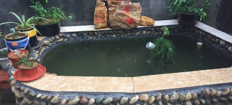 淳安亲家民宿图片