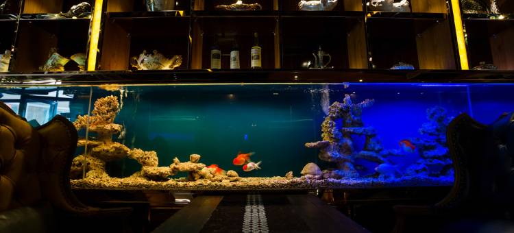 屏南阿拉丁神奇度假酒店图片