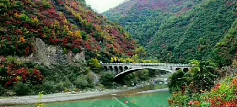 凤县芳林嫂家庭公寓图片