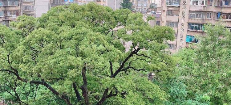 汉庭酒店(昆明金马坊店)图片