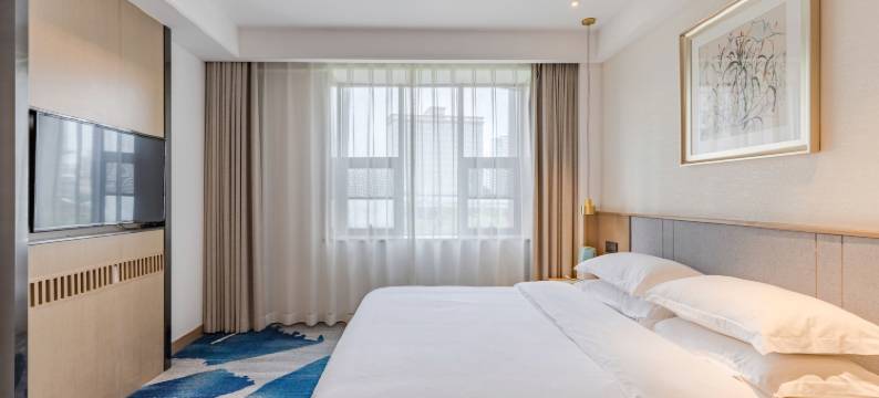 合肥安之酒店(高新区科学大道地铁站店)图片