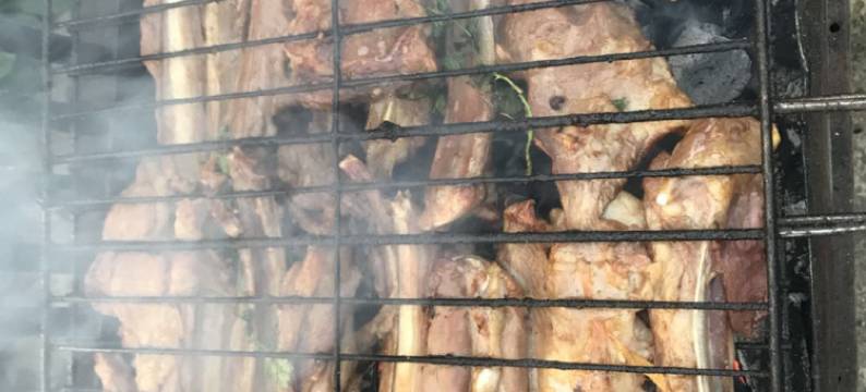 北京喇叭沟门白桦林马占华农家院图片