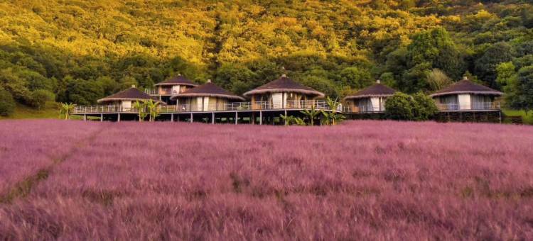 常州修心民宿图片