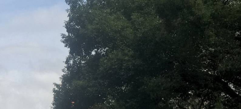 岱山家禾宾馆图片