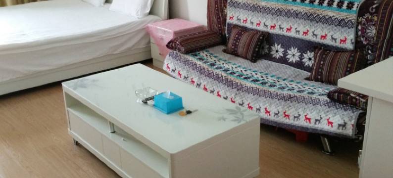 重庆菲尔公寓图片