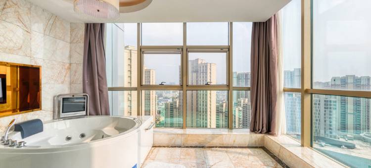 安徽天阜豪逸大酒店图片