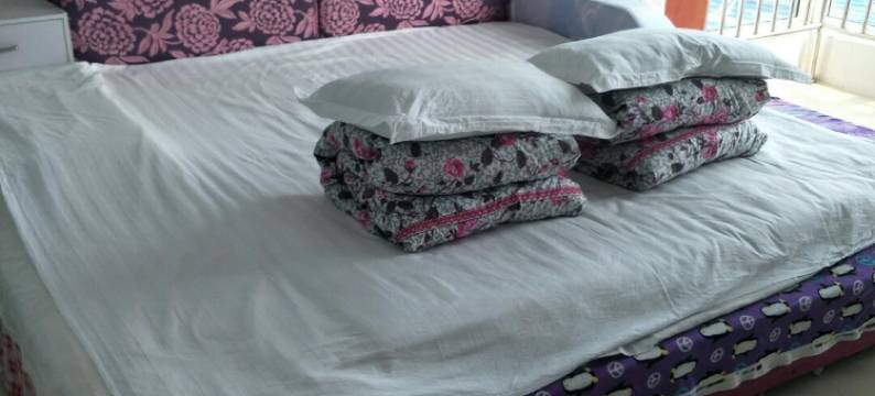 乐亭爱家农家院图片