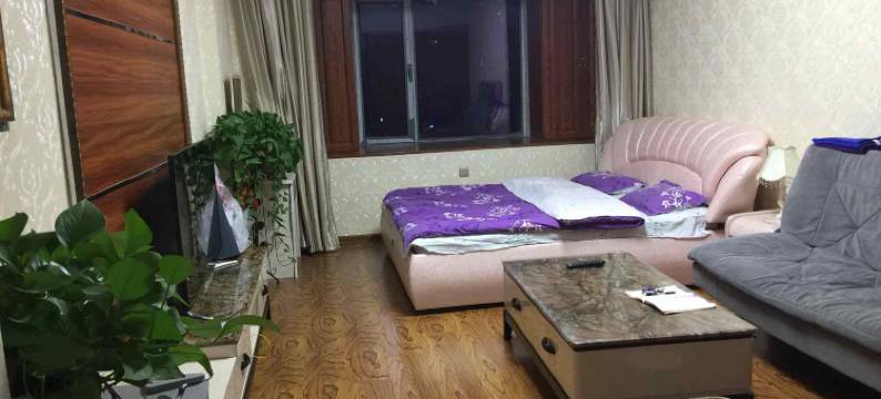 山楂树日租公寓(沈阳美麟阁店)图片