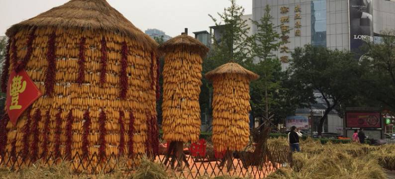 郑州康居宾馆图片