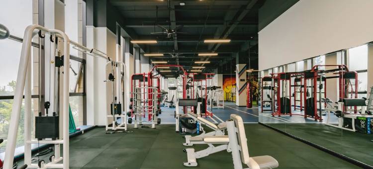 大邑圣索亚酒店图片