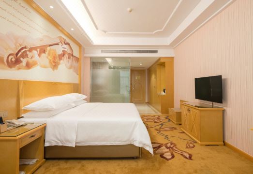 Vienna International Hotel (Dongcheng Building, Lanzhu East Road, Pingshan, Shenzhen)Hotel Overview