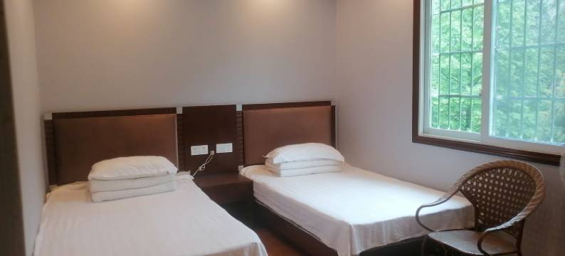 四面山松山林苑图片