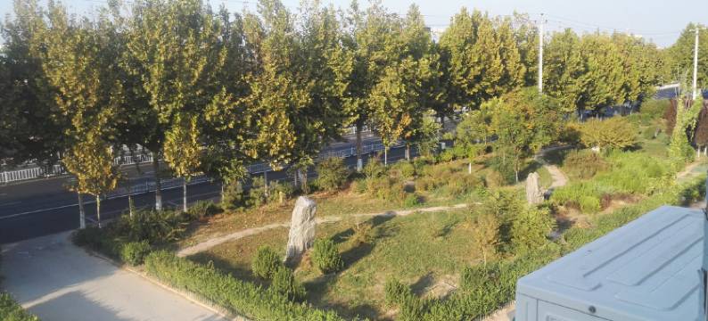 宜居宾馆(阜城中学店)图片