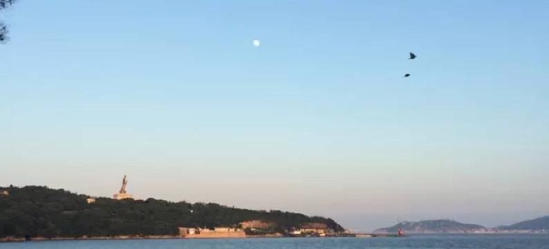 普陀山潮韵轩客栈图片