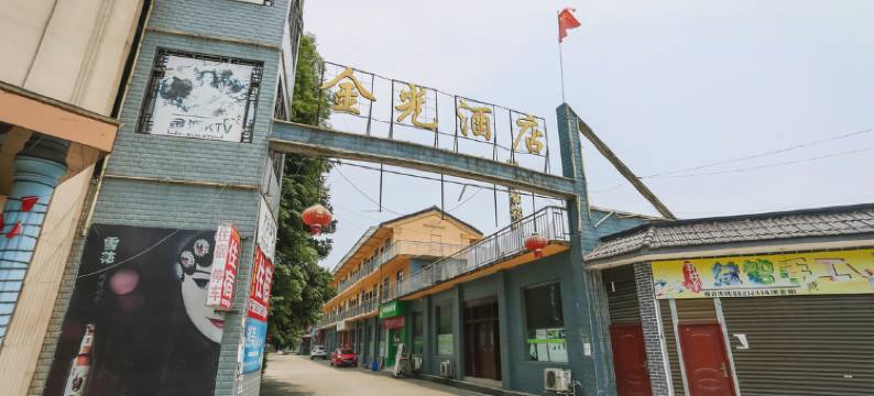 大邑金光度假酒店图片