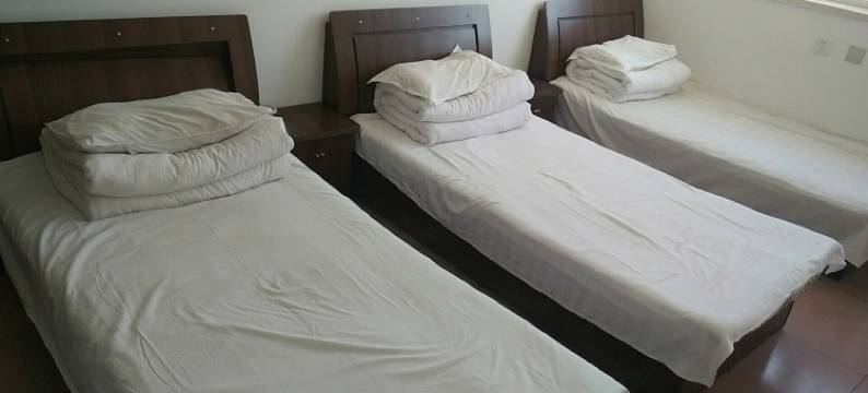 新城旅馆图片