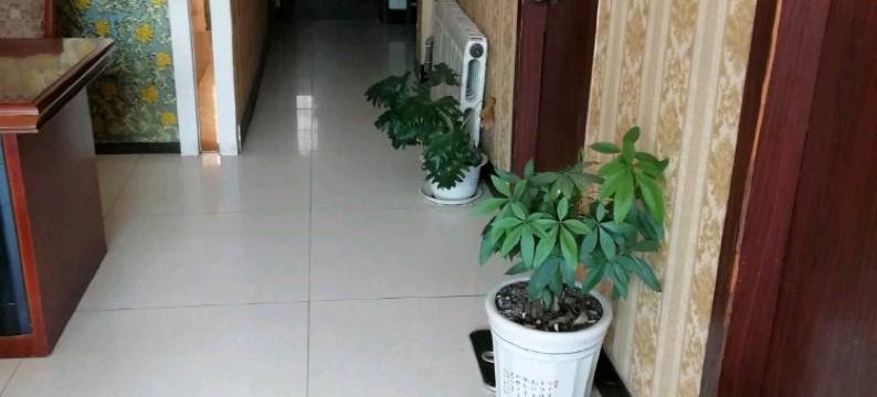 莘县三利宾馆图片