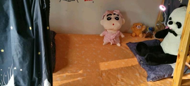 顺子青年公寓(石家庄省博物馆店)图片