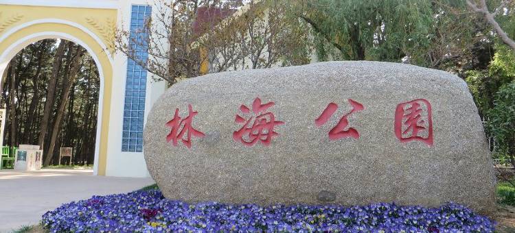 威海海之家旅馆图片