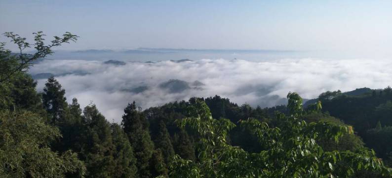 谷城薤山度假村图片