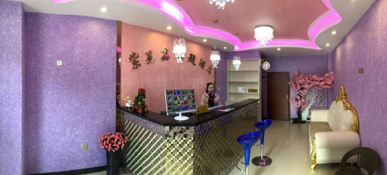 紫星鑫主题宾馆(汉阳客运站地铁站店)图片