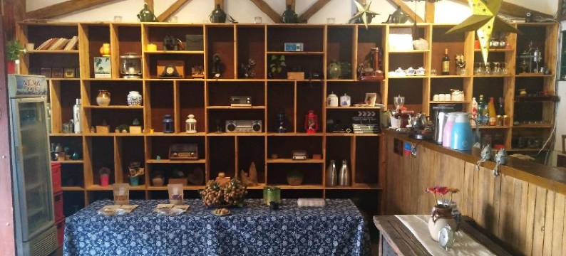 盐边院子里度假别院图片