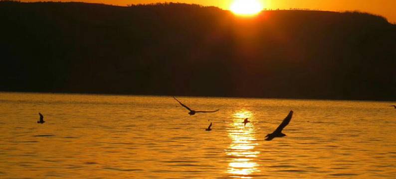 抚仙湖锦秀酒店(禄充风景区店)图片
