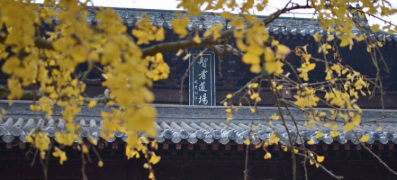 当阳爱格酒店图片