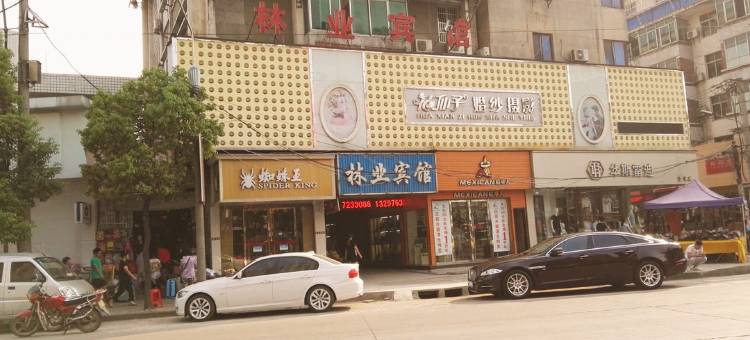 京山林业宾馆图片