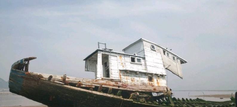 青岛赶海青年旅舍图片