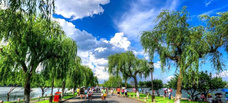 君雅酒店(湖滨银泰in77店)图片