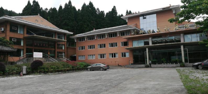 文成铜铃山森林度假村图片