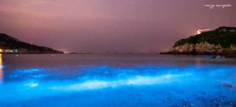 嵊泗花鸟岛壹壹捌民宿图片