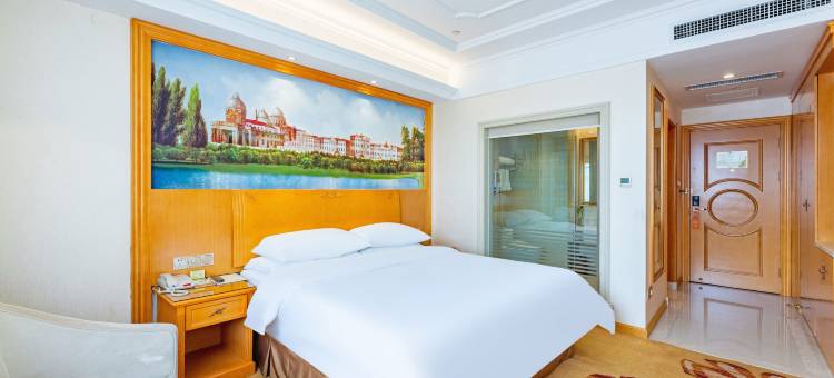 维也纳酒店(邢台沙河机场店)图片