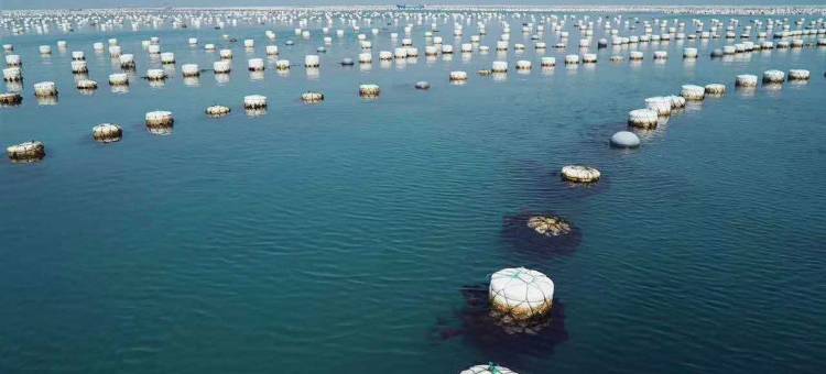 罗蔓 · Seaside海景度假美宿(嵊山枸杞景区店)图片