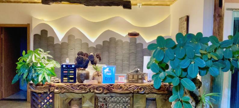 抚仙湖弈岸民宿图片