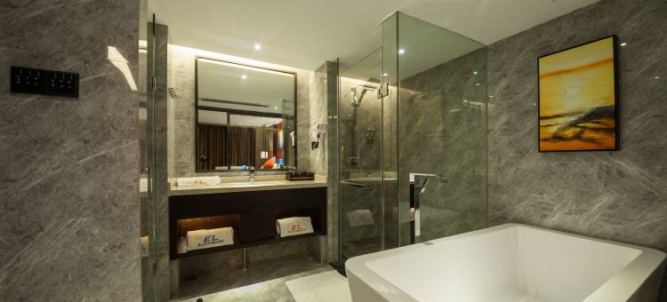 深圳依兰时尚精品酒店(宝龙地铁站店)图片