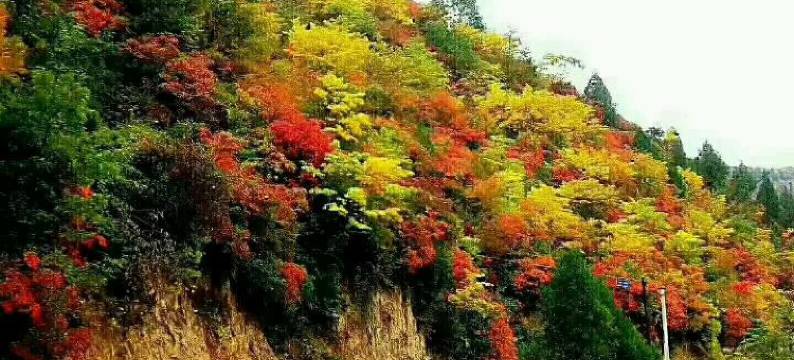 凤县芳林嫂家庭公寓图片