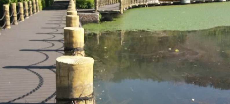 西昌斓色海岸客栈图片