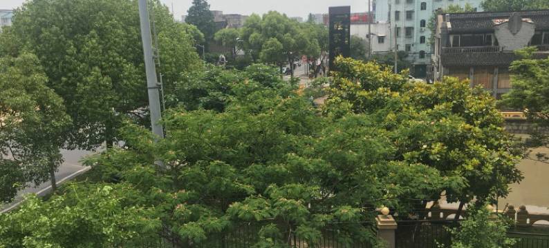 上海戴发时尚宾馆图片