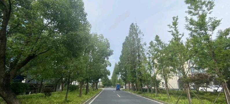 乌镇西栅邂逅·时光主题民宿图片