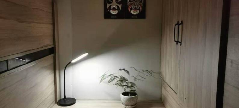 石河子花巢青年旅馆图片