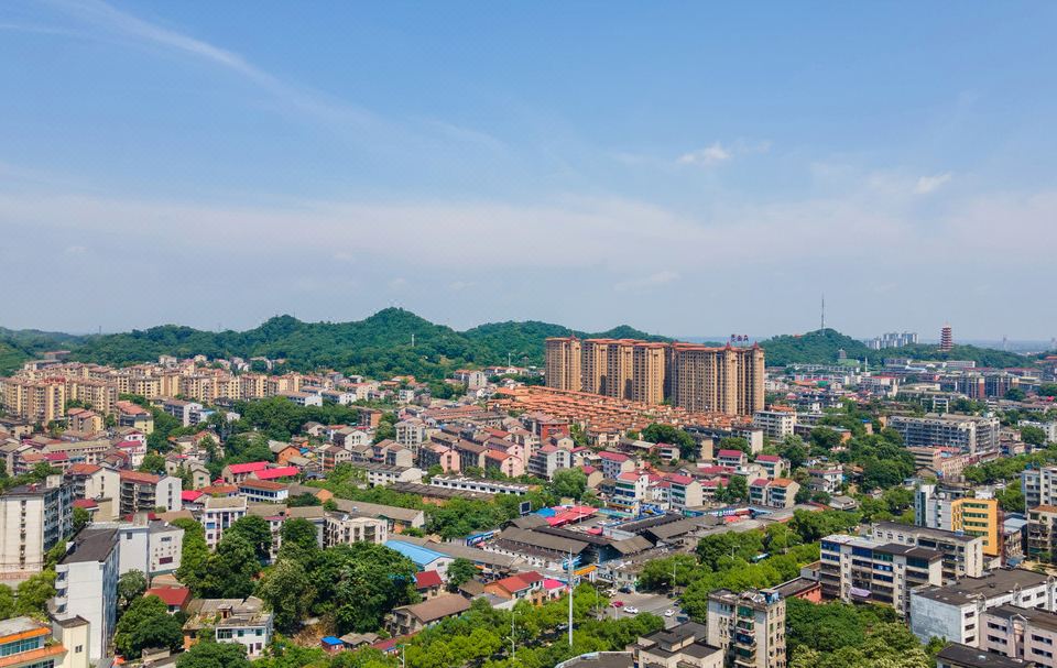 Hotel Overview