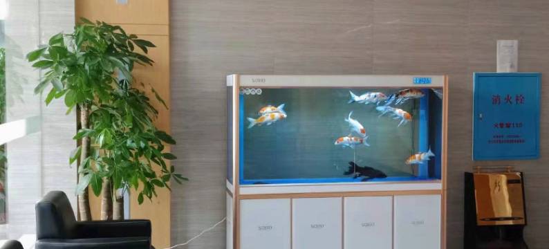 新丽景商务酒店(衡阳解放路店)图片